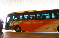 Airport Limousine Bus - вид снаружи